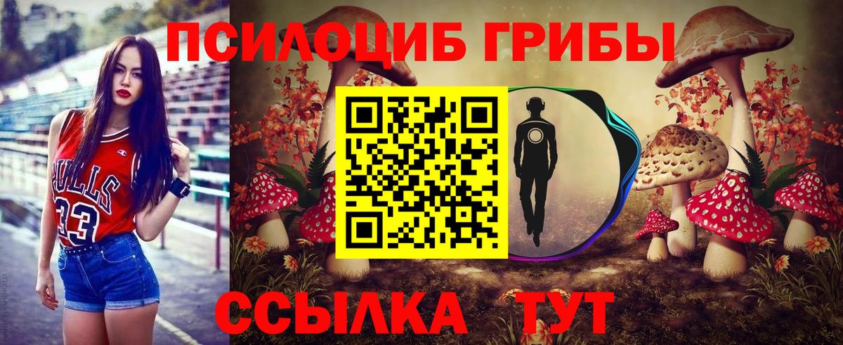 Сертолово  Галлюциногенные грибы прущие грибы  Вход с VPN 