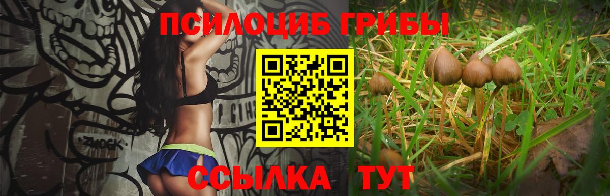 Псилоцибиновые грибы GOLDEN TEACHER Сертолово