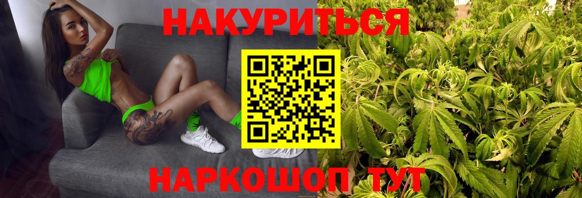 Бошки Шишки конопля Сертолово
